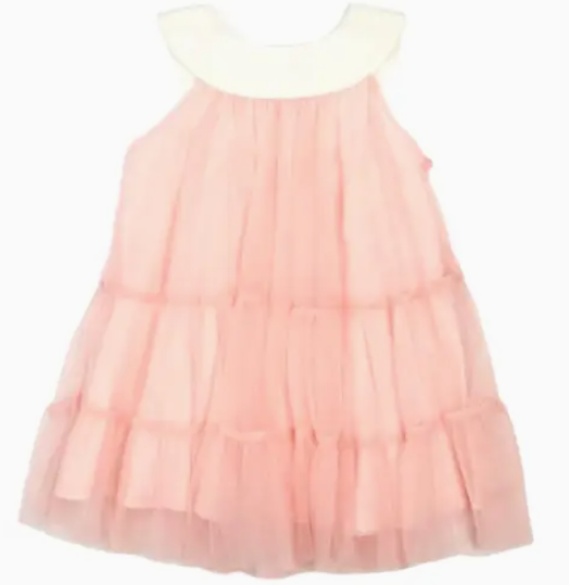 Pink Mesh Dress image 1
